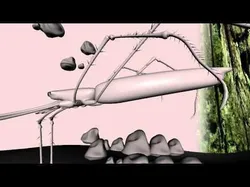 Water spider   Low-poly 3D model