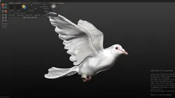 white dove 3D model