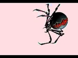 Animated Spider Low-poly 3D model