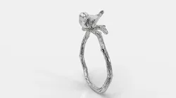 Bird ring 3D print model