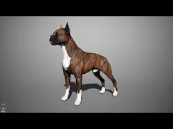 Boxer Real-Time Low-poly 3D model