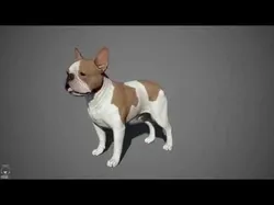 French Bulldog Real-Time Low-poly 3D model