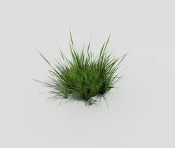 Grass Low-poly 3D model