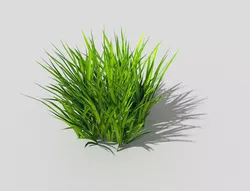 Grass Low-poly 3D model