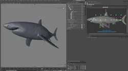 Great white shark rigged and animated for Cinema 4d  Low-poly 3D model
