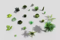 low poly foliage pack Low-poly 3D model