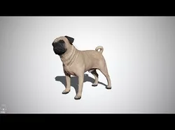 Pug Real-Time Low-poly 3D model