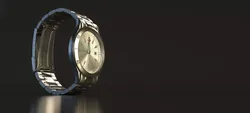 WATCH---Stainless Steel 3D model
