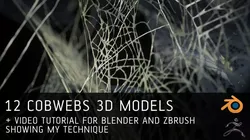 12 Cobwebs 3D models with tutorial for Blender and Zbrush 3D model