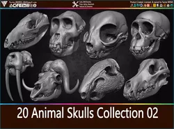 20 Animal Skulls Collection 02 Low-poly 3D model