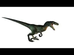 3Dfoin - Raptor Low-poly 3D model