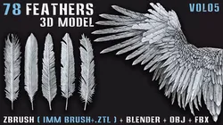 78 Feathers 3D Model - High and Mid and Low Poly- Vol05 Low-poly 3D model