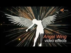 Angel Wings  3D model