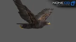 Animated Golden Eagle 3D model