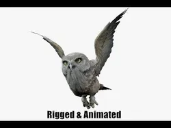 animated owl Low-poly 3D model