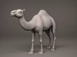 Camel 3D print model