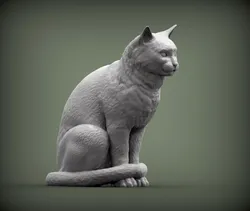 Cat for 3d printing  3D print model