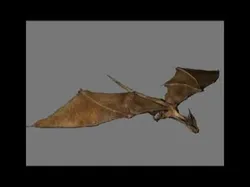 Desert Dragon Low-poly 3D model