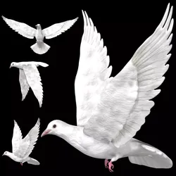 Dove white pigeon Low-poly 3D model