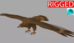 Eagle hawk flying in sky 3D model