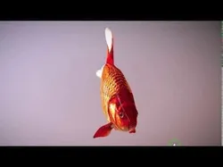 Fish Cyprinus Carpio Low-poly 3D model