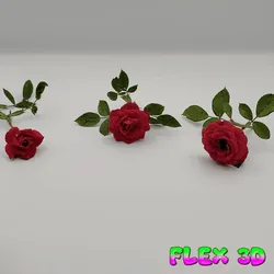 Flex 3D Skunk Chunky