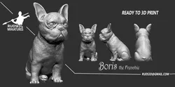 Frenchie Bulldog 3D print model