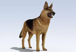German Shepherd Dog Rig Low-poly 3D model