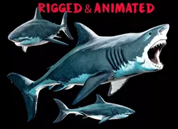 Great White Shark Low-poly 3D model