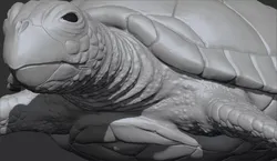 Green Sea Turtle 3DPrintable 3D print model