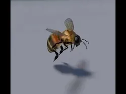 Honey Bee Low-poly 3D model