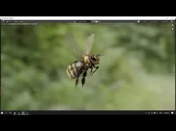 Honey bee Low-poly 3D model