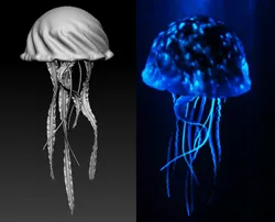 Jellyfish Deep Ocean Creature Base Mesh 3D model