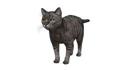 Kitty Cat Low-poly 3D model