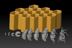 Life cycle of the honey bee 3D print model