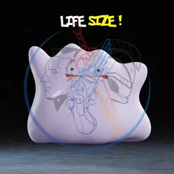 Life Size #132 3D Printer STL File