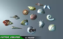 Lowpoly Under Water Shell Collection Pack 3d model Low-poly 3D model