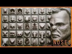 NOSES - 40 ZBrush VDM Nasal Areas 3D model