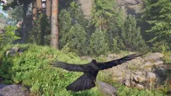 Ravens and Crows Low-poly 3D model
