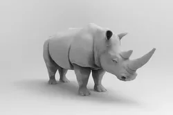 Rhinoceros 3D print model