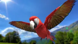 Scarlet Macaw - Animated Low-poly 3D model