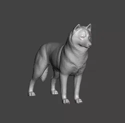Siberian Husky Dog 3D print model