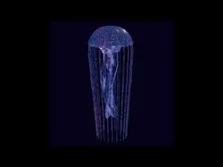 stylized glowing jellyfish Low-poly 3D model