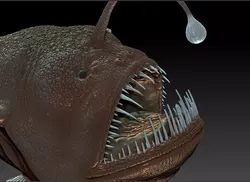 Angler fish 3D print model