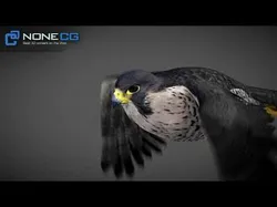Animated Falcon 3D model