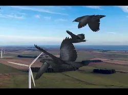 Animated low poly crow Low-poly 3D model