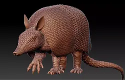 Armadillo Dasypus novemcinctus 3D print model