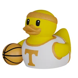 Basketball-Tennessee Volunteers