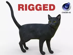 Black Cat Rigged for Cinema 4D 3D Model Low-poly 3D model