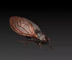 cicada fly 3D print model